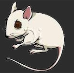 Pest Control Dwarka